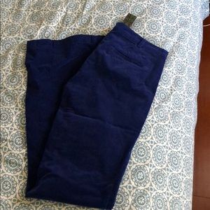 BRAND NEW United color Royal blue corduroys